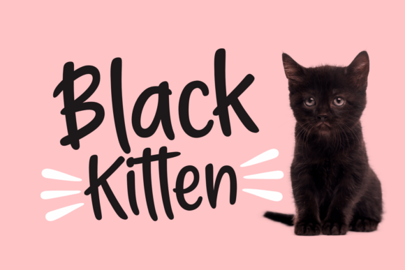 Black Kitten: Where Handwritten Warmth Meets Modern Design