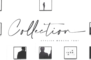 Collection: A Font That Elevates Design